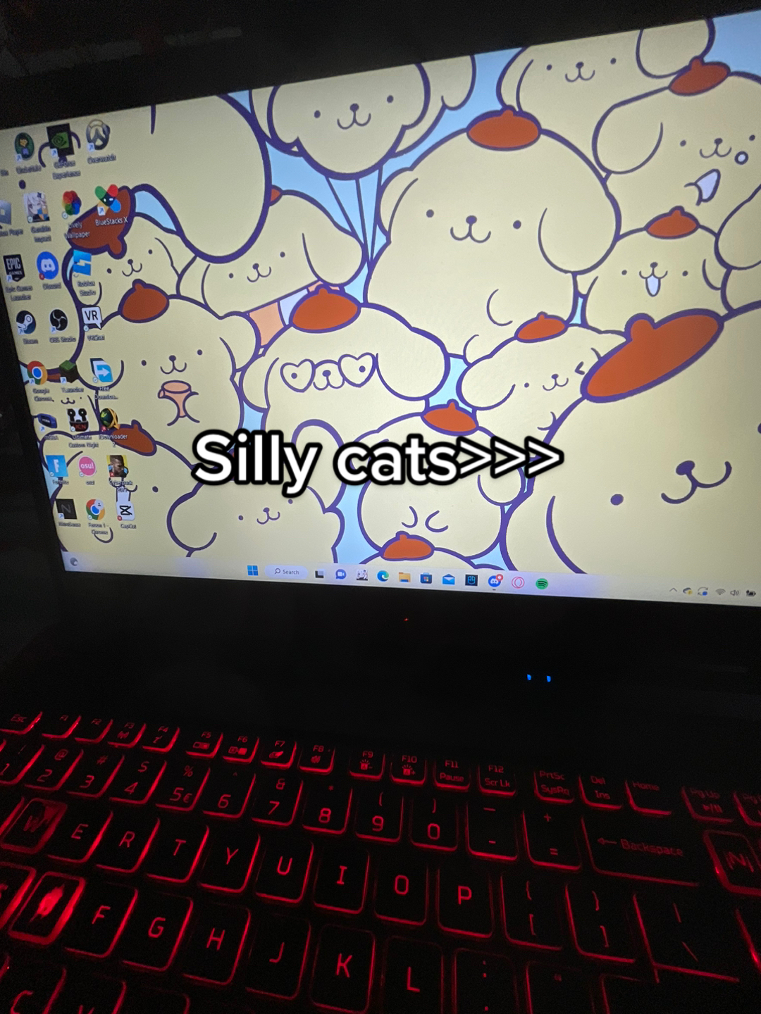 @Sh0to