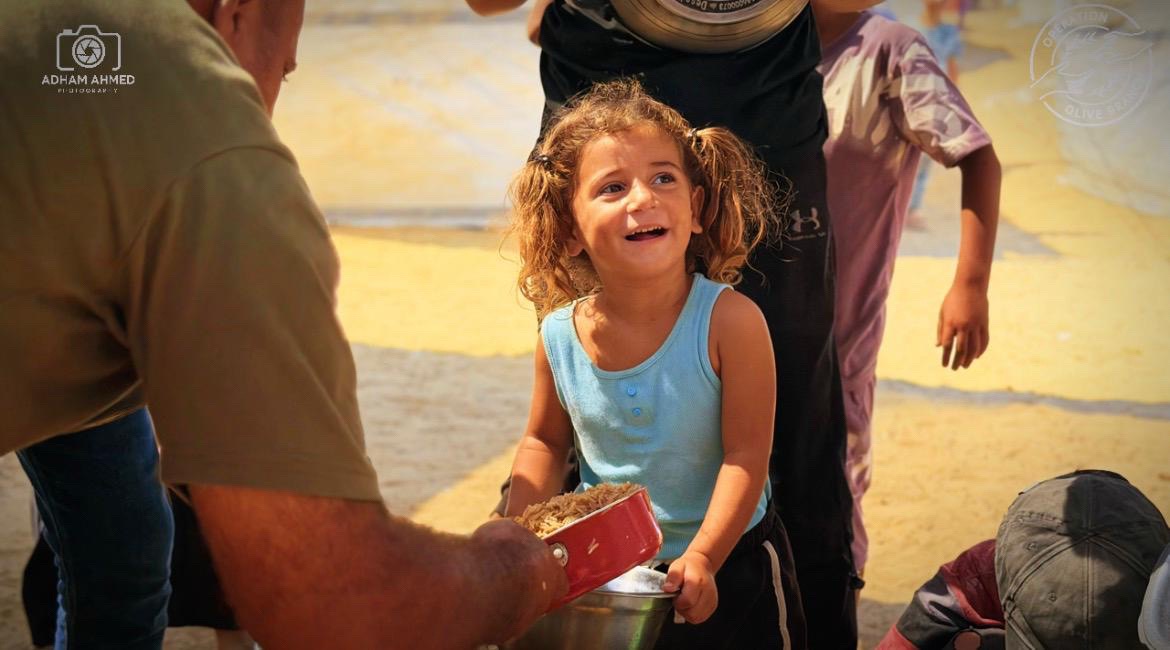 @Operation Olive Branch