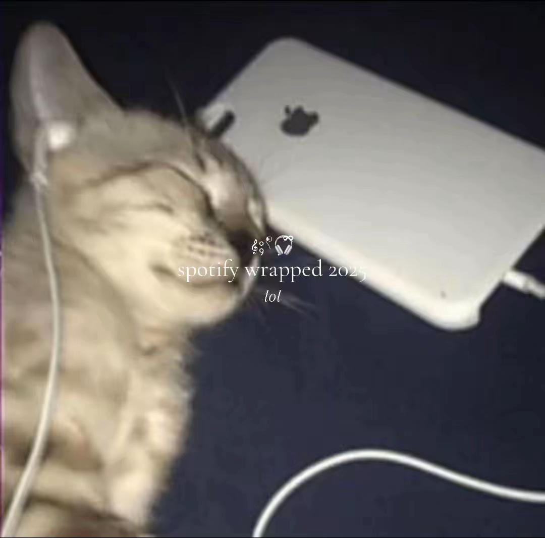 @𝄞⨾𓍢ִ໋🎧ྀི 淇淇