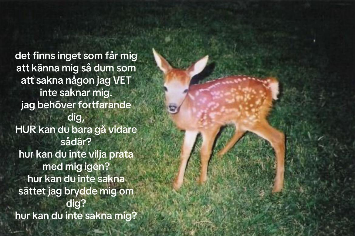 @tjejutandagbok
