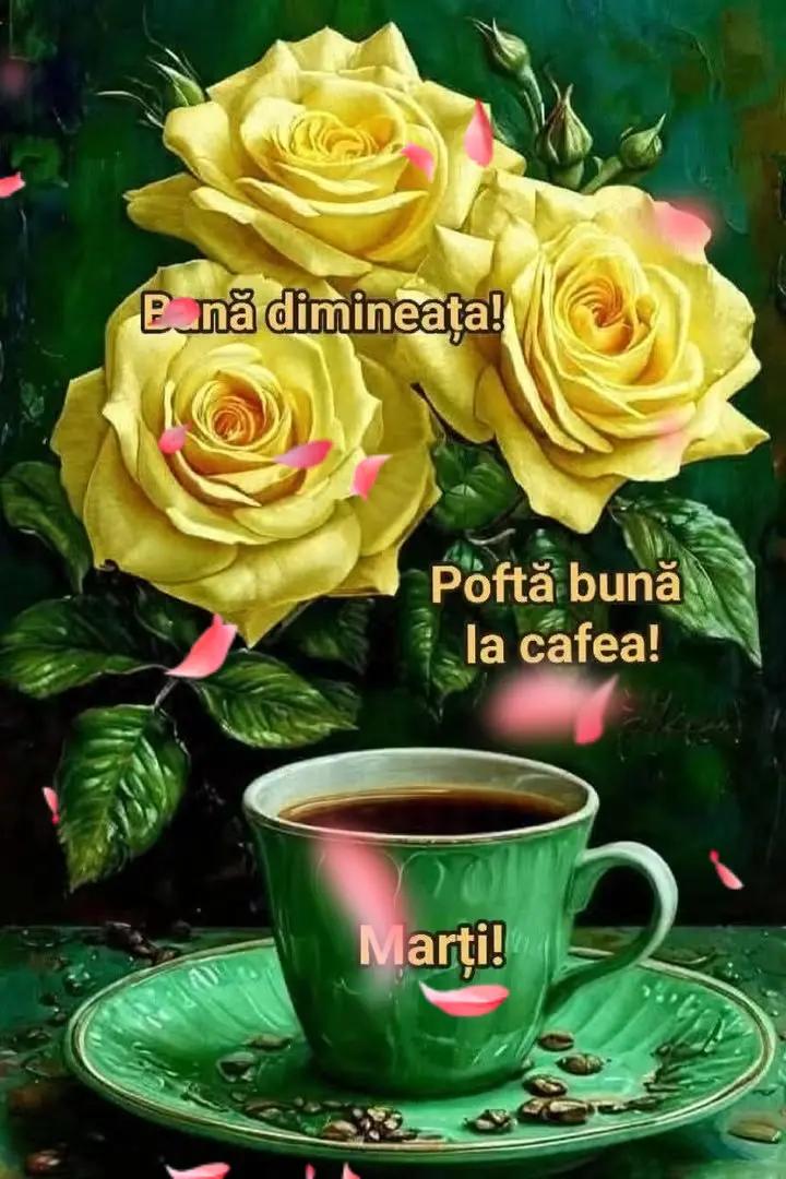 @Nicolae Iamandi Marin