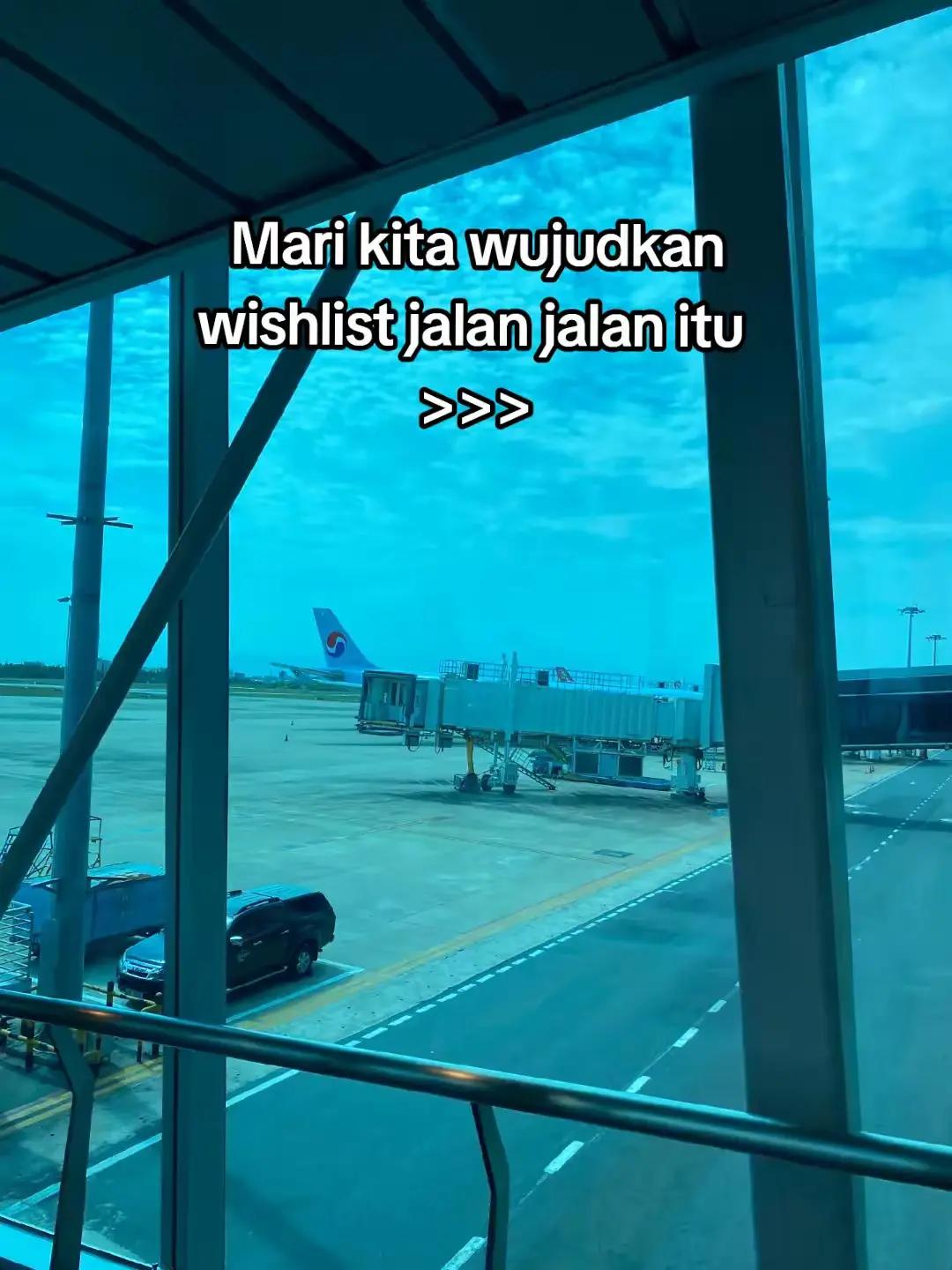 @tintinraynervacation