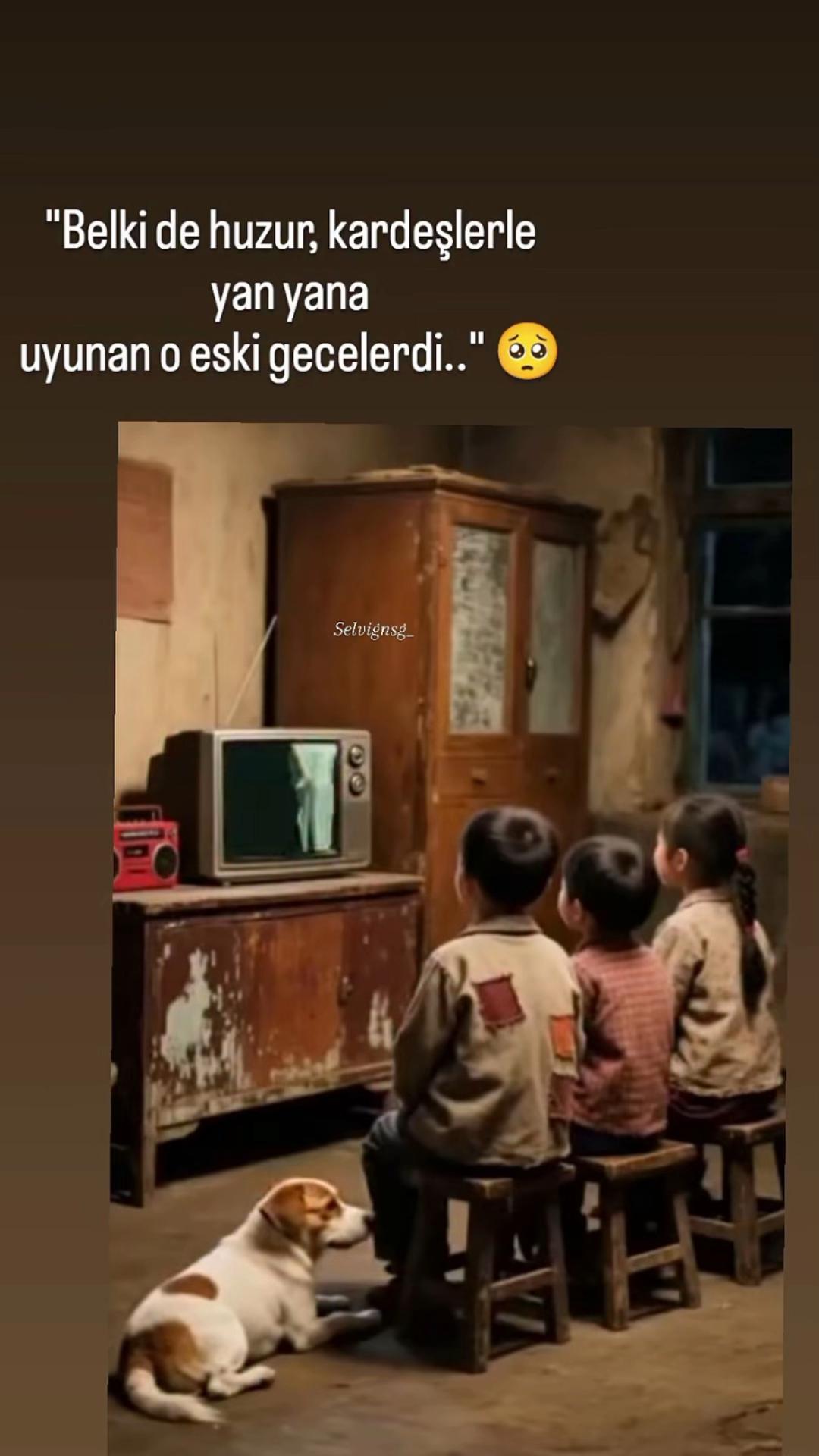 @ravzanur740