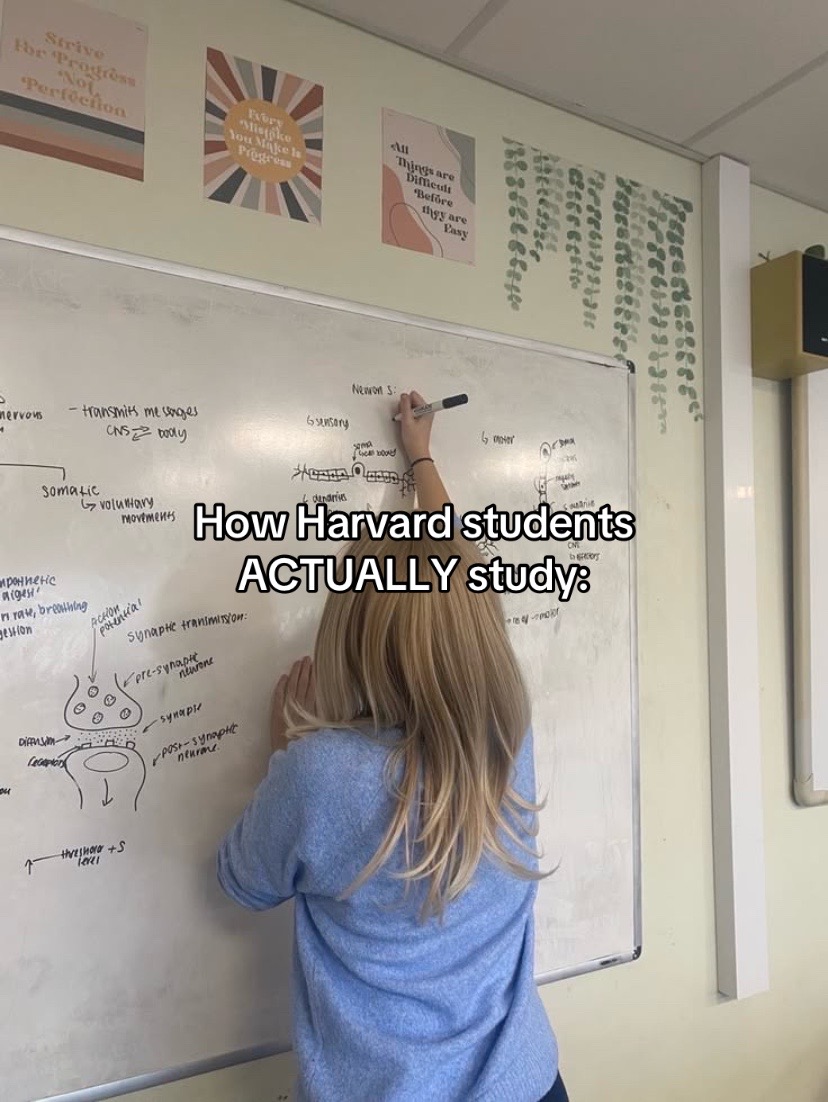 @Jeena Study Tips📚