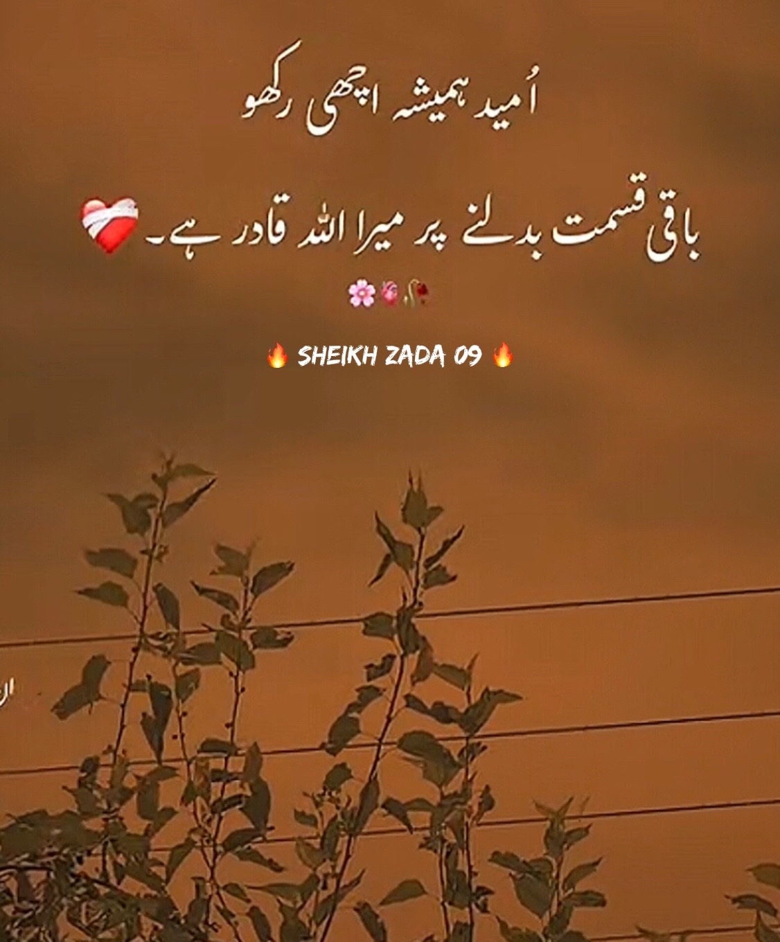 @⚜️ᏚꫝᏞᴍꫝɴ⚜️