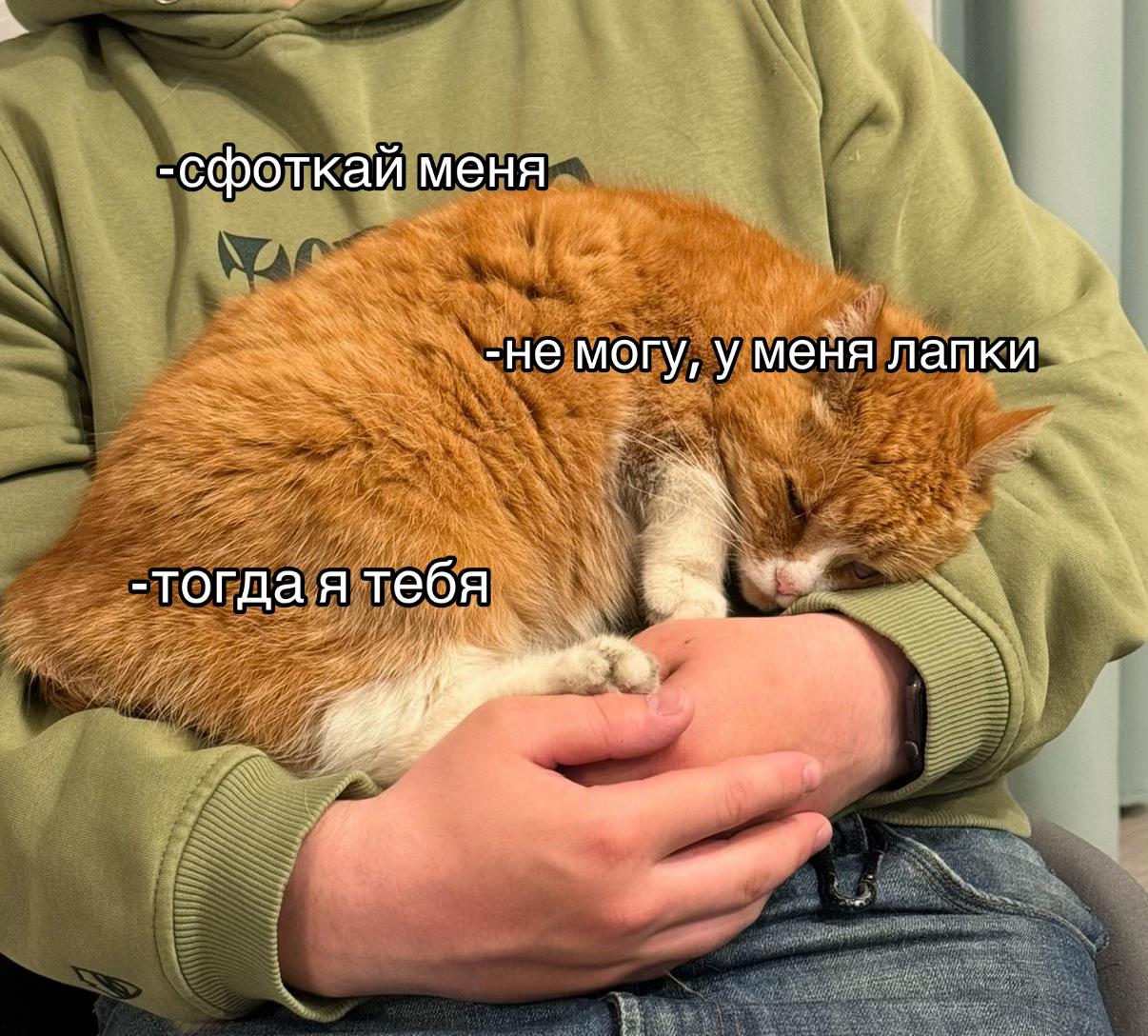 @ника🐈⬛