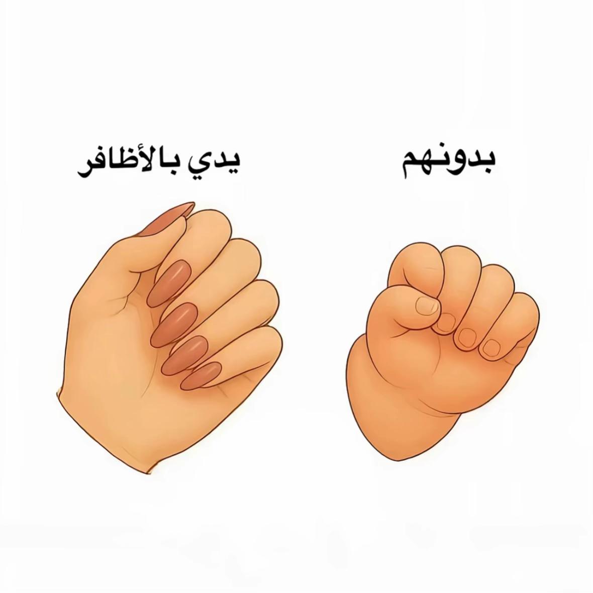 @اندلين بيوتي✨