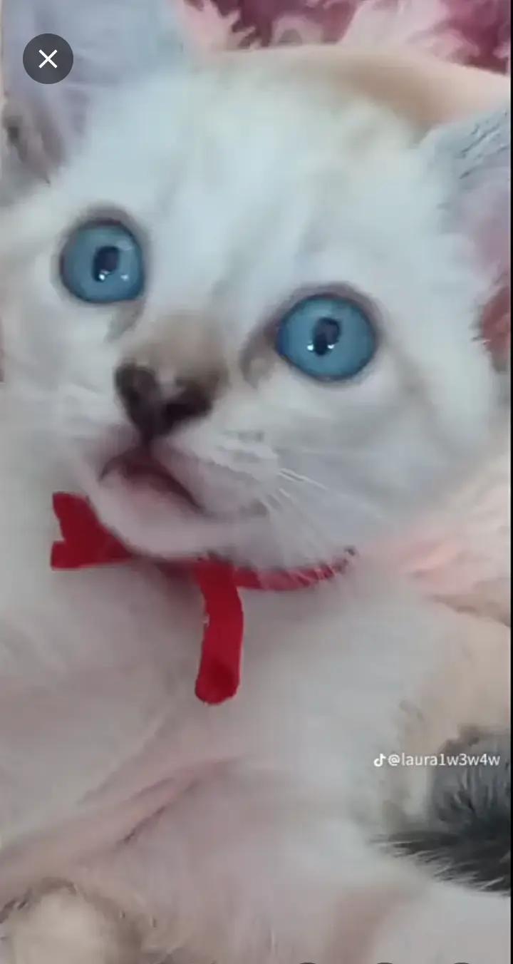 @LAURA147194