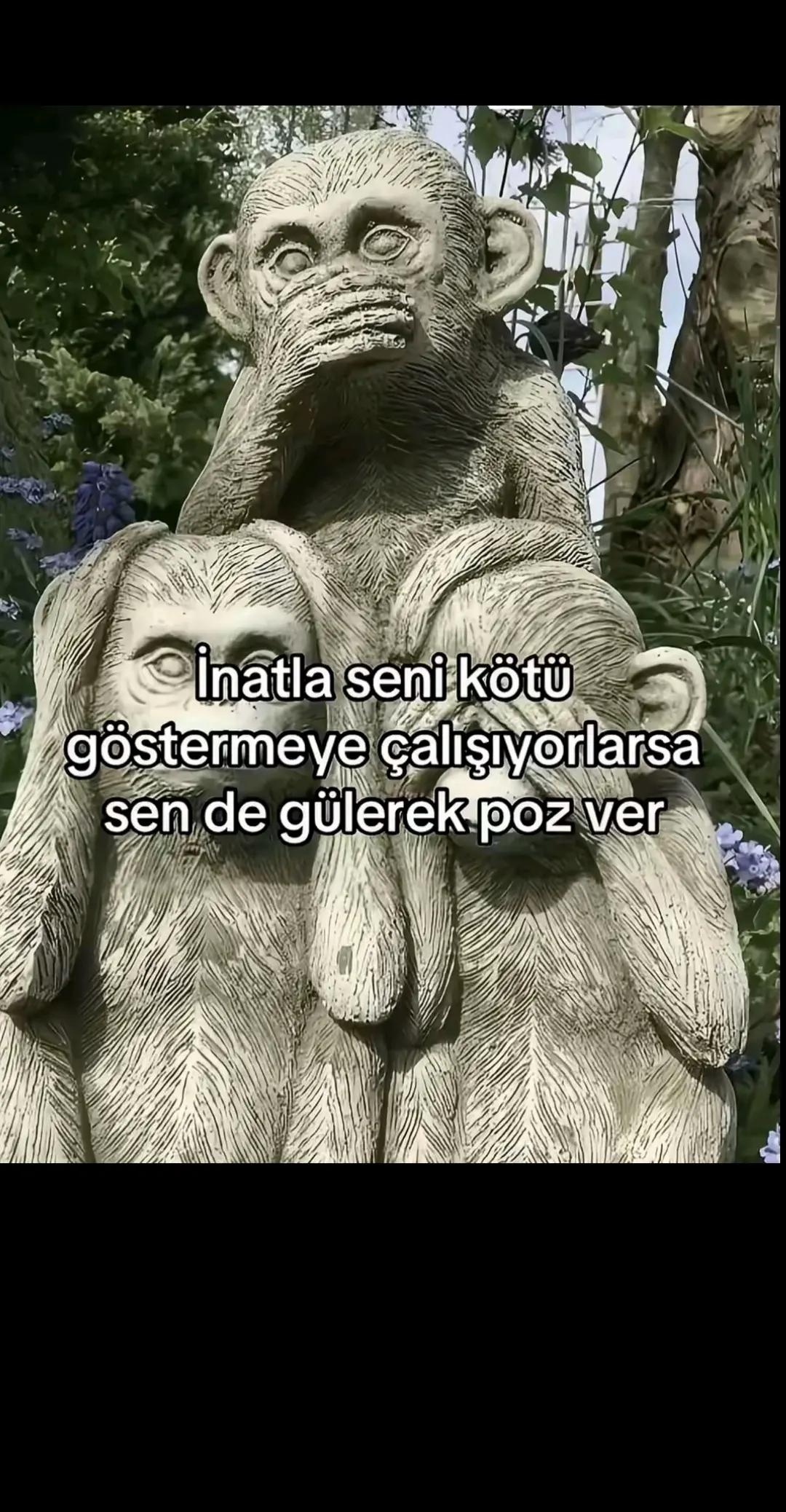 @umut