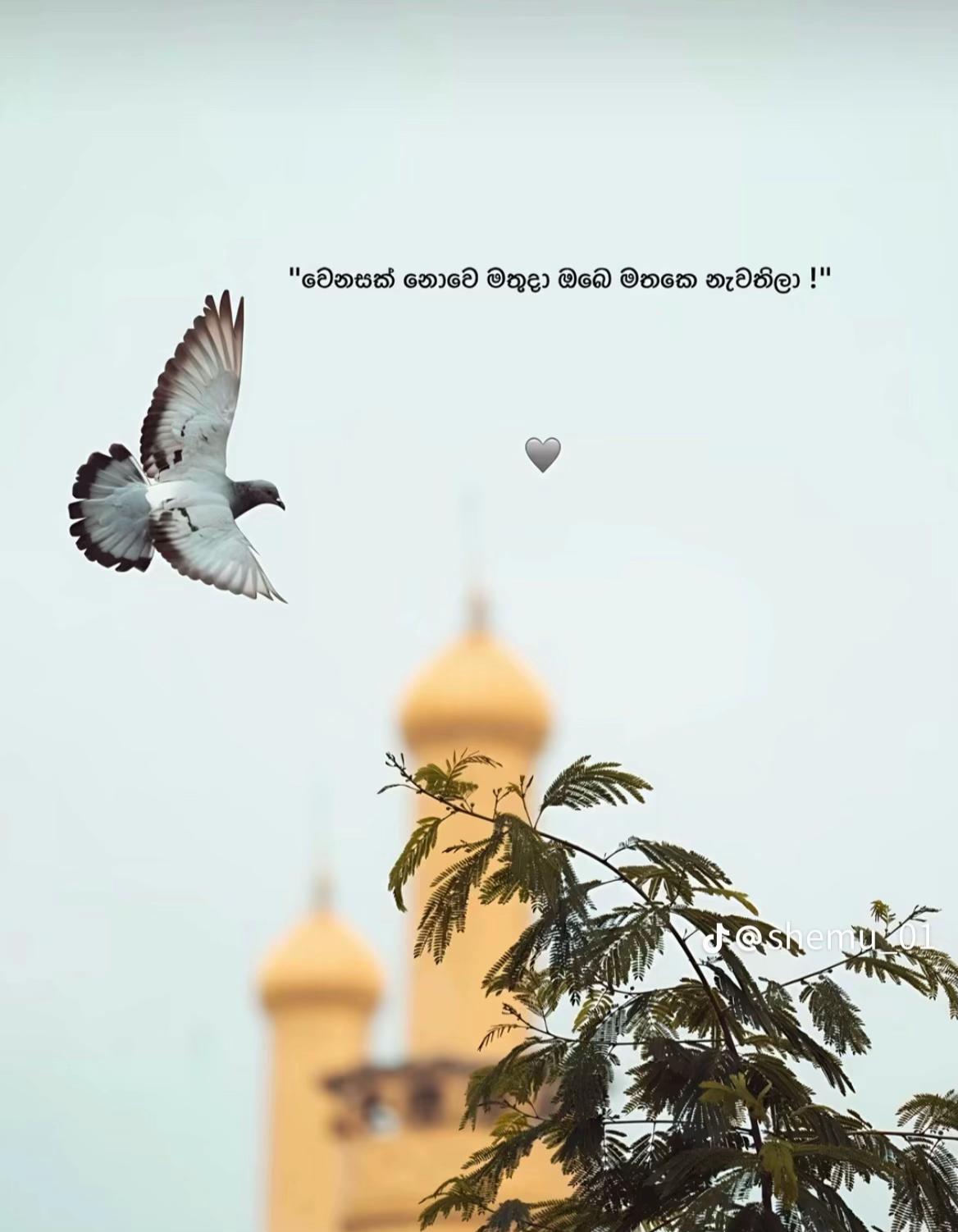 @K A V I Y A 💋👀