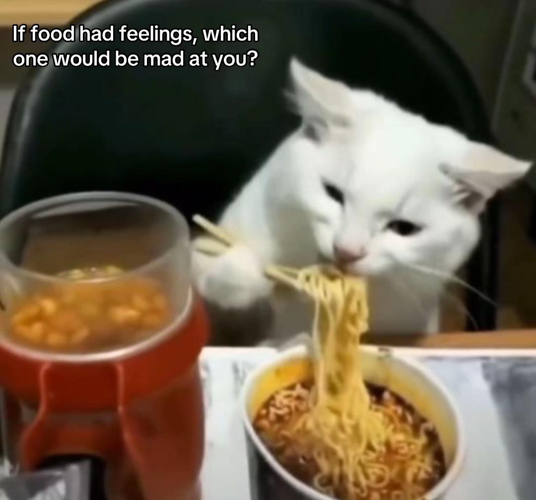 @Meow kitty