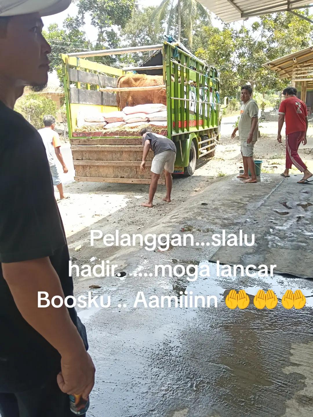 @Fitri
