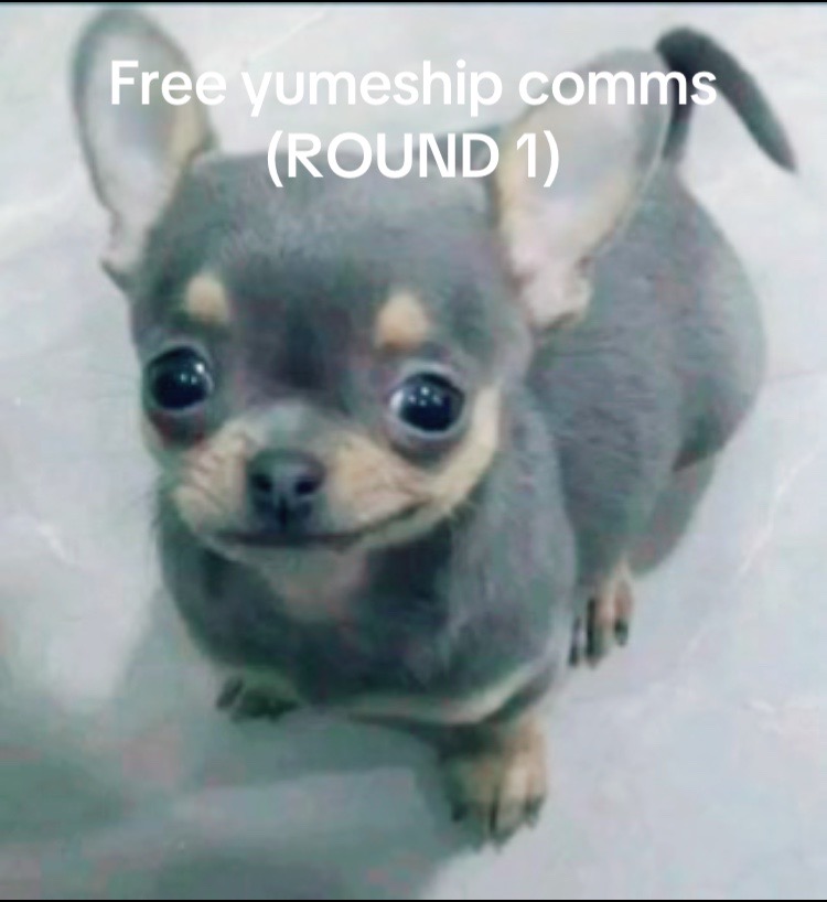 @#1 Yunyun Fan | COMMS OPEN