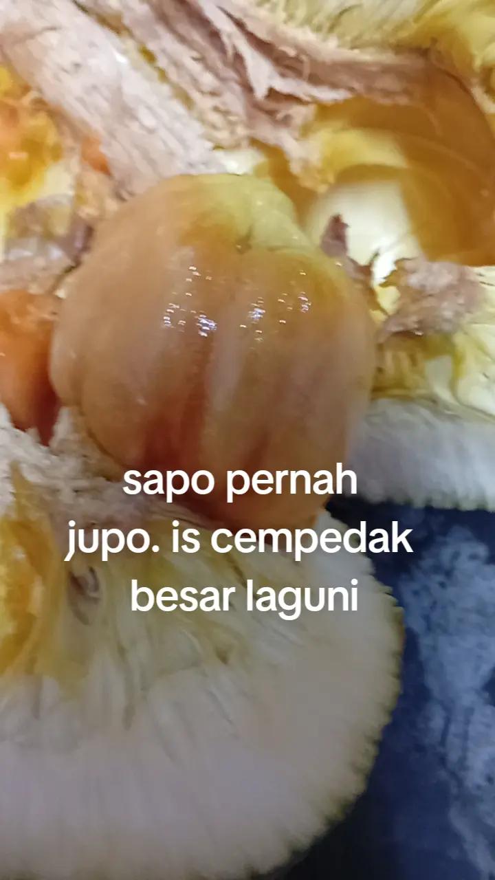 @CIKNEY CANTIK