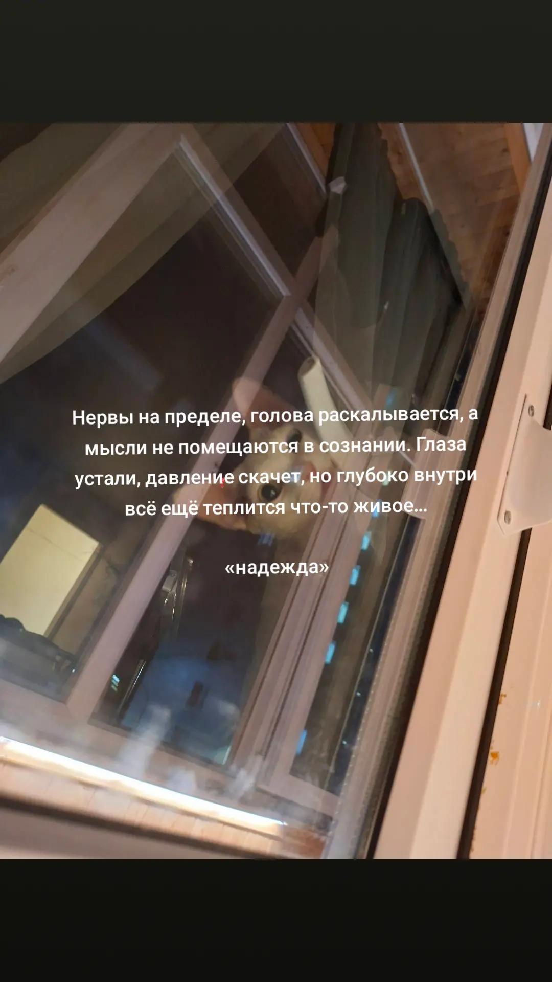 @Софочка♏️