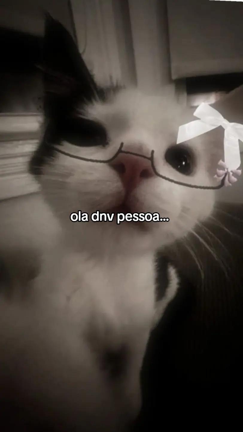 @💫Estrela💫