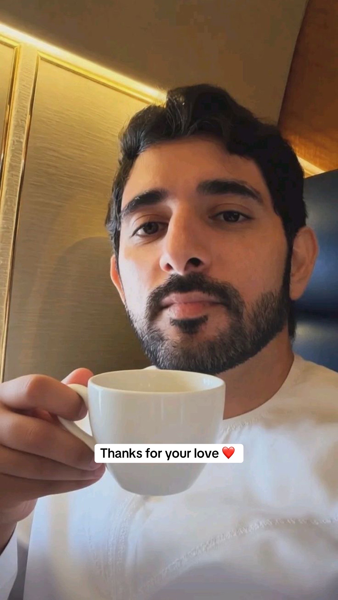 @Hamdan Fan