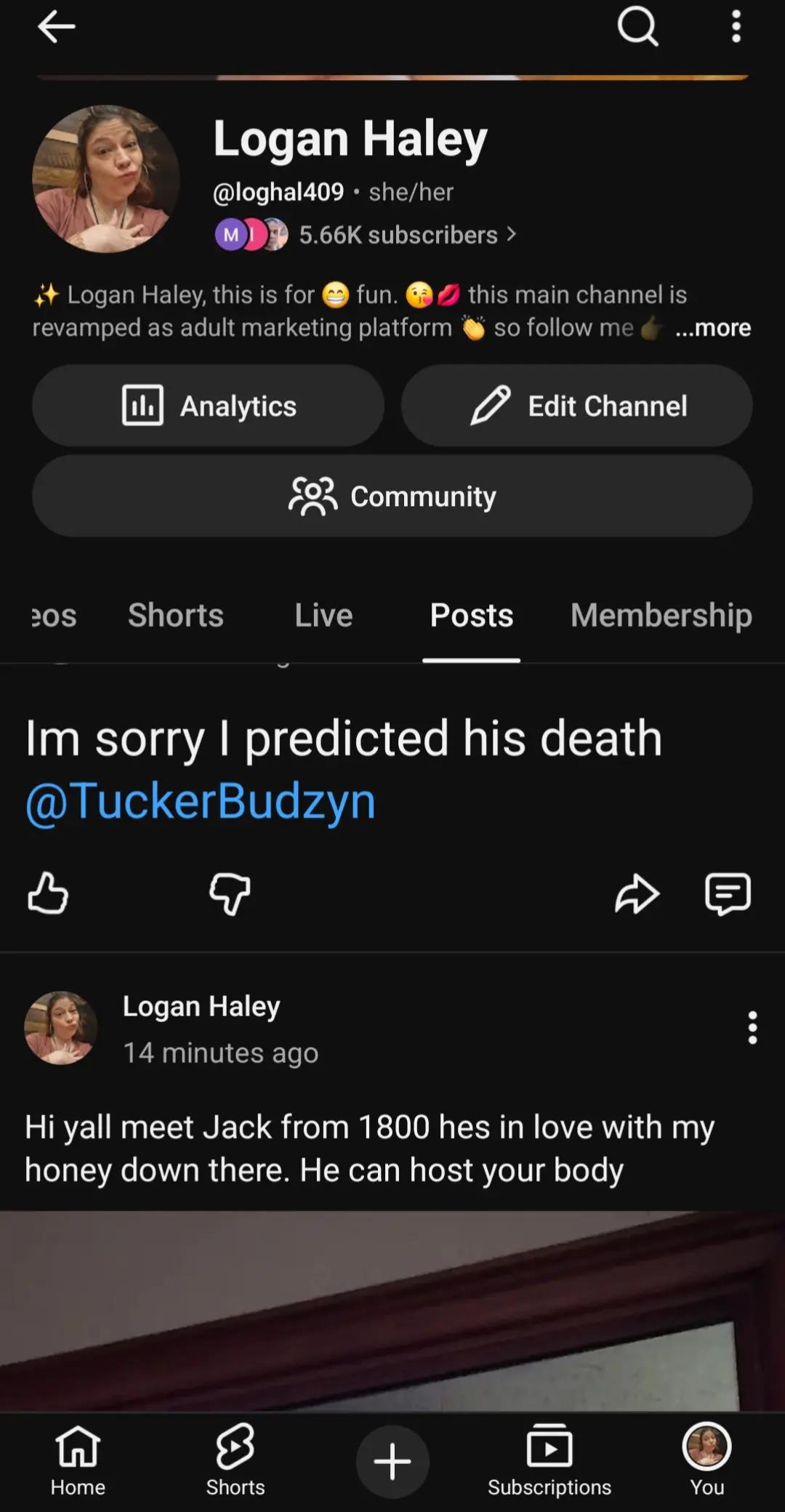 @Loghal409