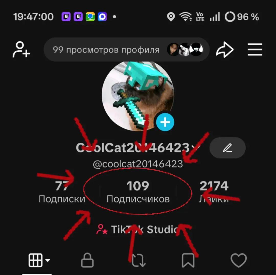 @CoolCat20146423