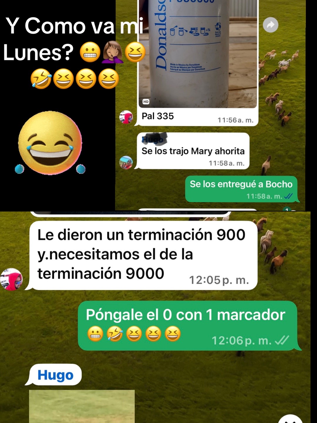 @marylopez44448