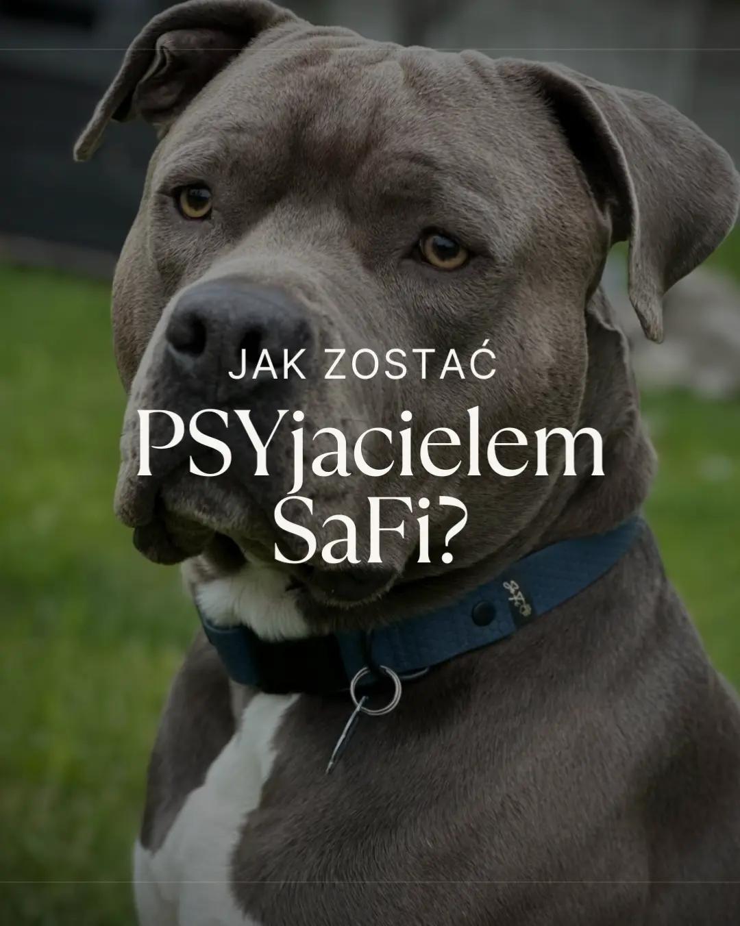 @SaFi.sklep