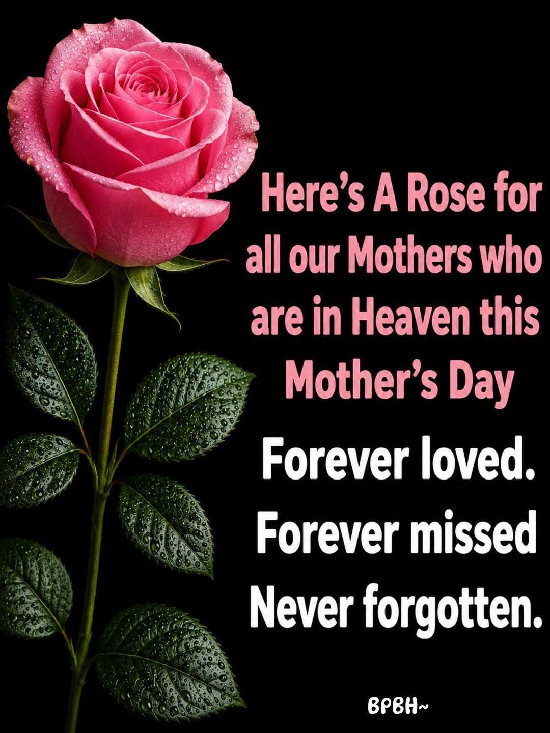 @Geechie_gurl 63🌹