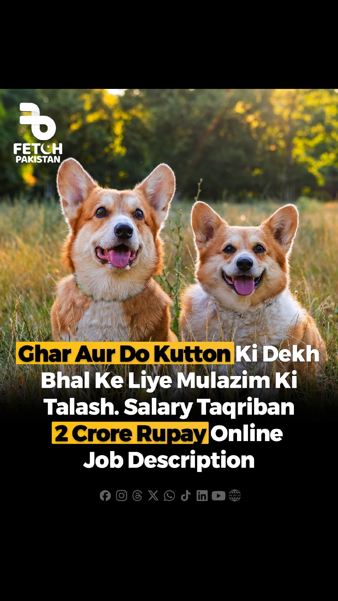 @Fetch Pakistan