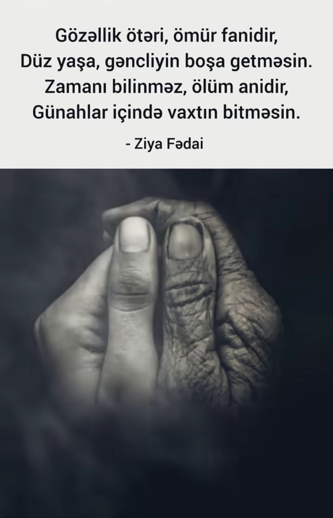 @SEYMUR.