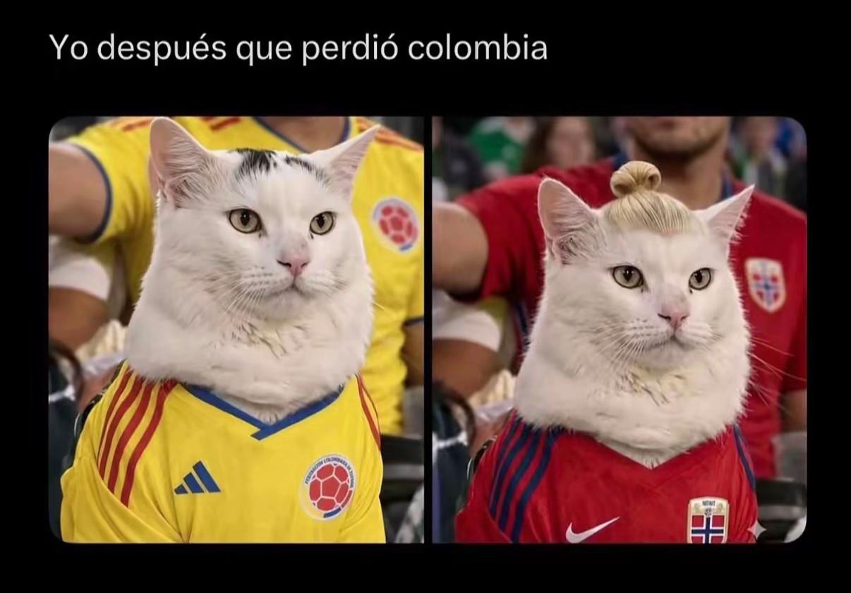 @Bryan García