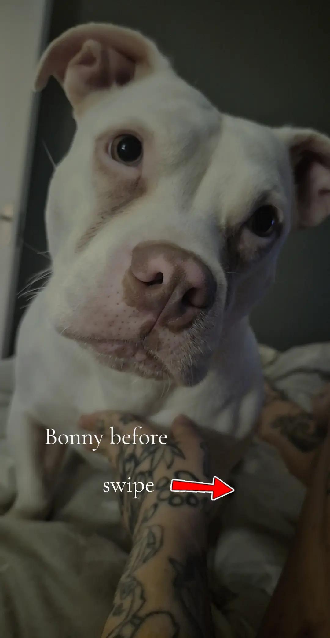 @🦄⃤𝓟𝓲𝓯𝓯 𝓪𝓷𝓭 𝓹𝓾𝓹𝓼