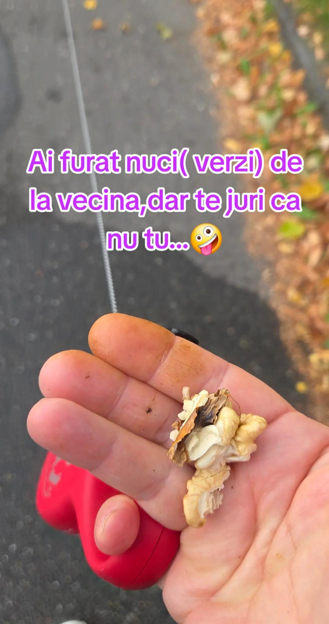 @Adina