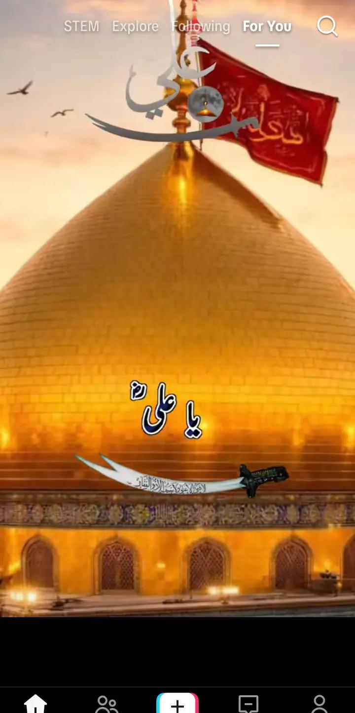 @Saqib khan