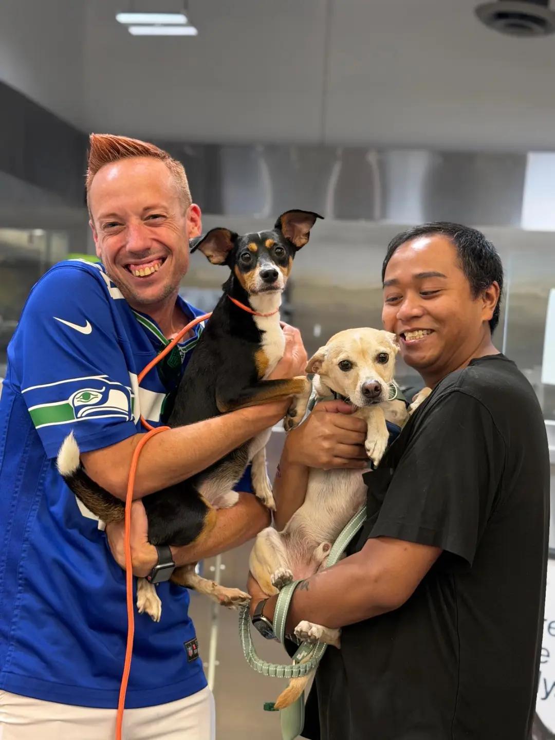 @Amazing Dogs Rescue