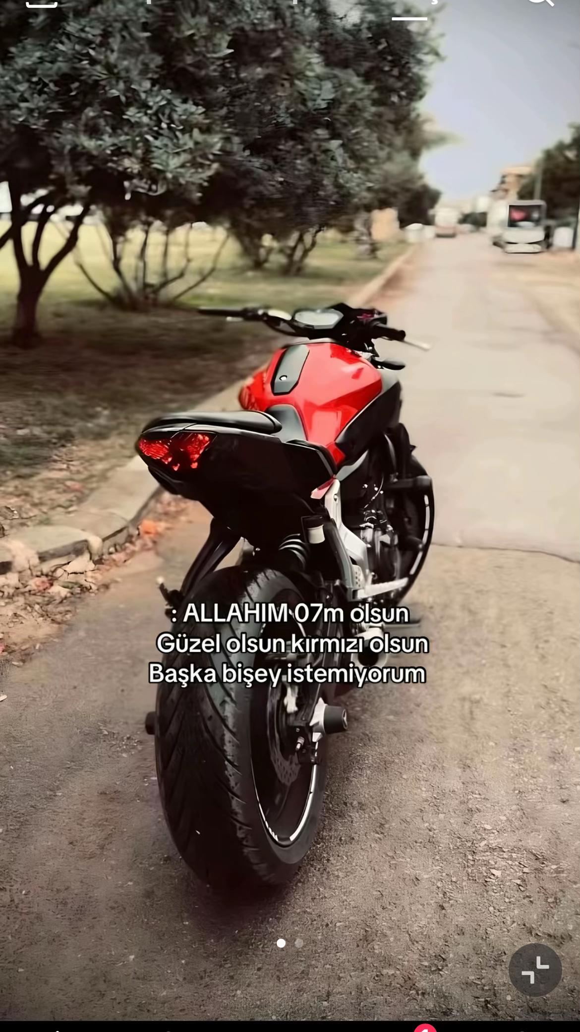 @ANT MOTOR