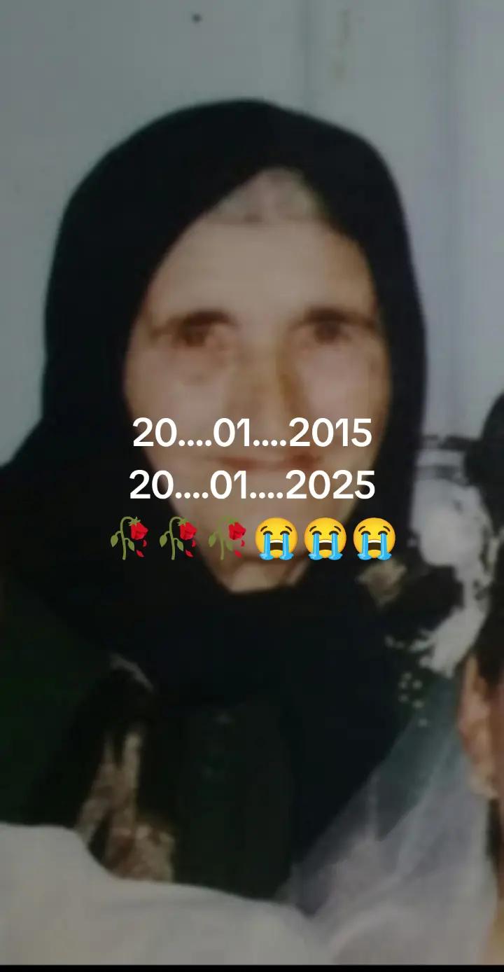 @QANUNİ FƏHLƏ