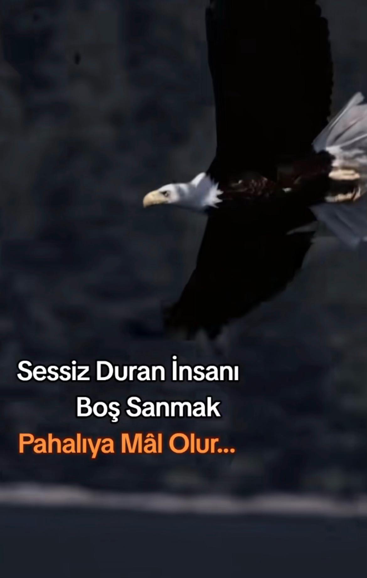 @👑 SerKan Yıldırım 👑