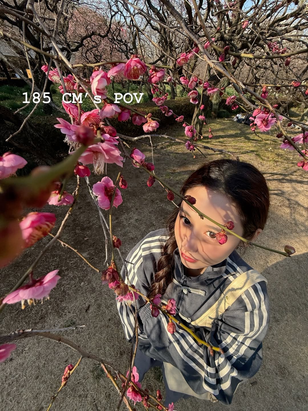 @𝐅𝐚𝐧𝐠_𝐒𝐮𝐩𝐩𝐨𝐫𝐭