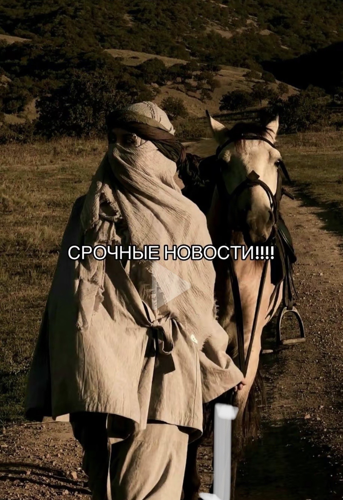 @Ветеринар Байэл
