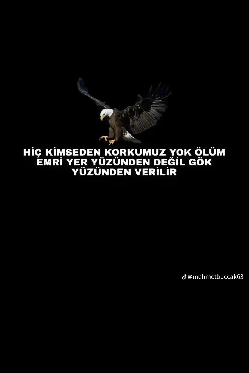@Onur_yllmaz0
