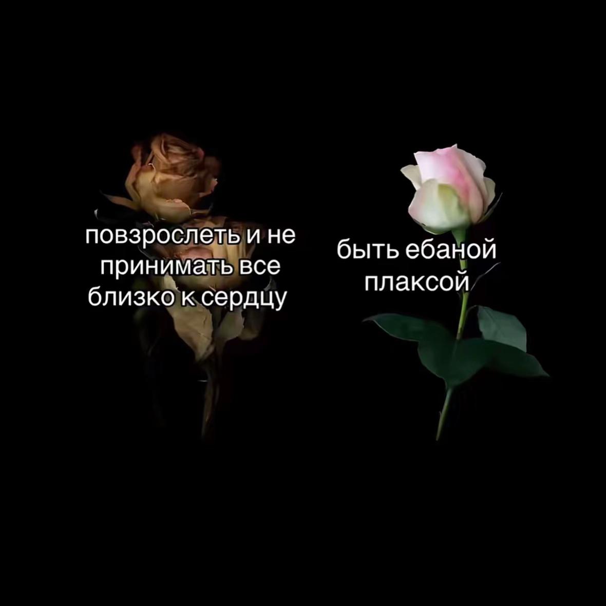 @нюта