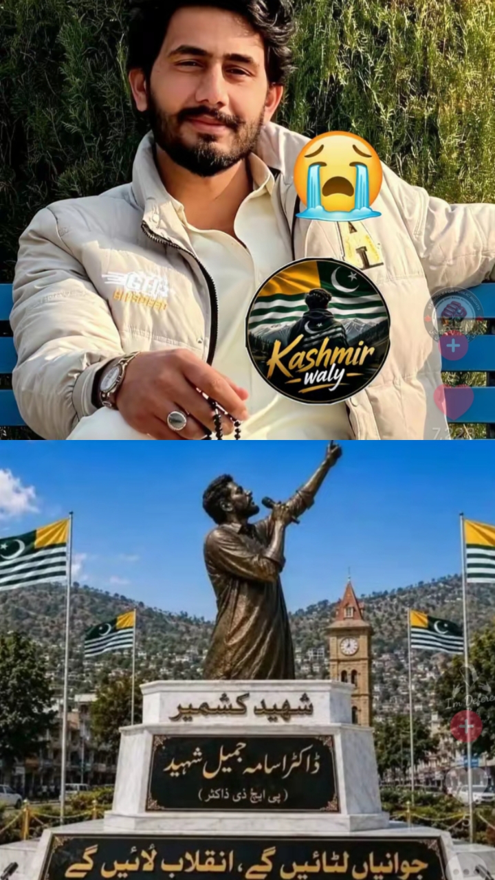 @syedsabirhamdani