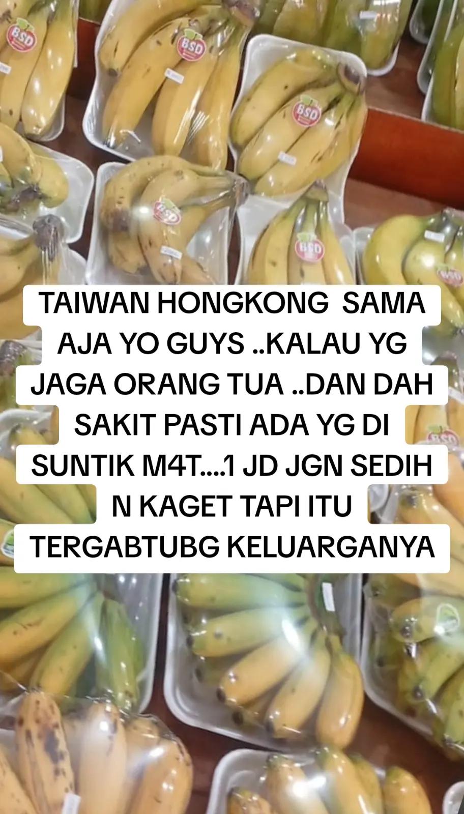 @joelia