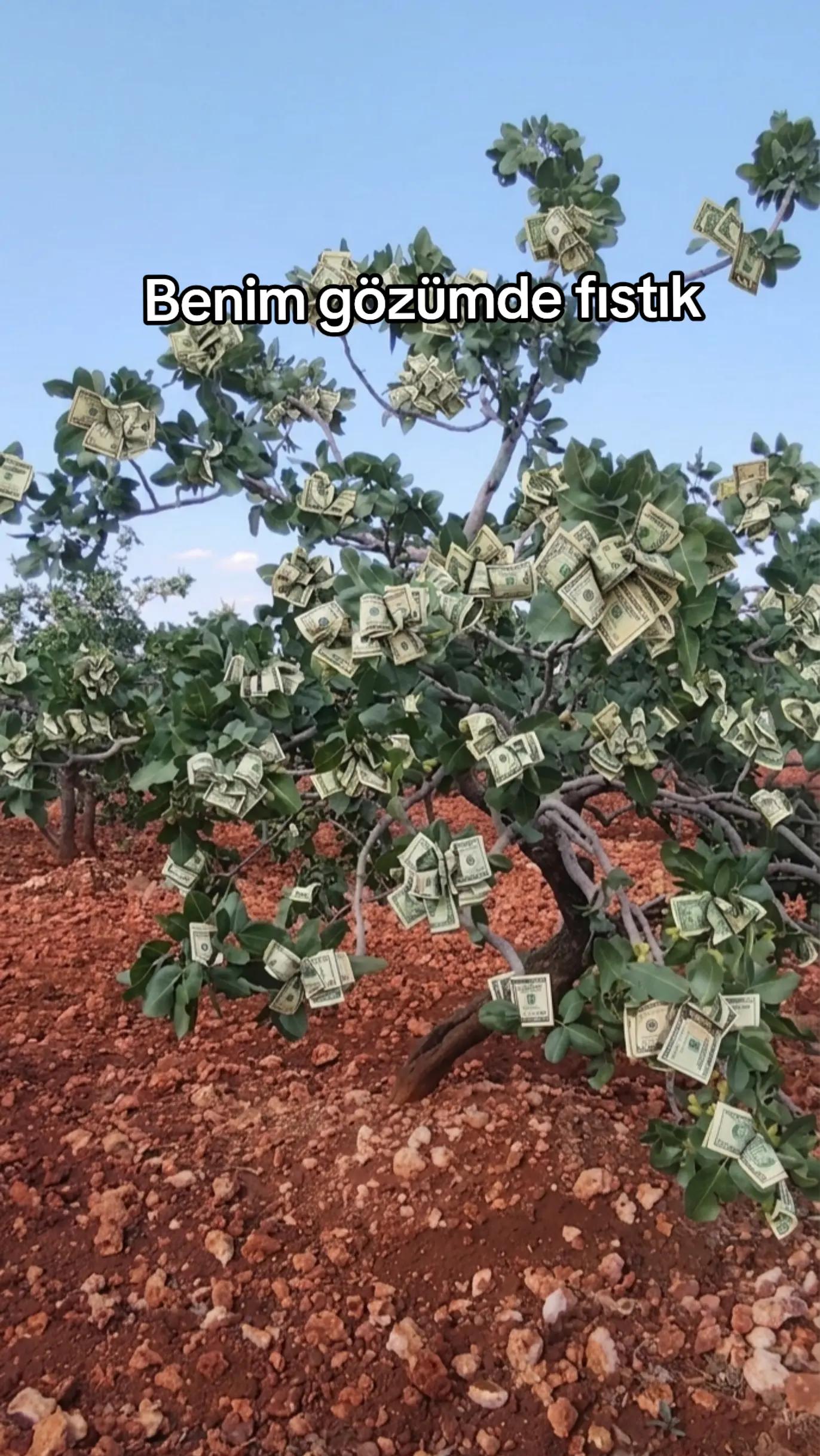 @🚜 &Ccedil;ift&ccedil;i Rotası 🌱