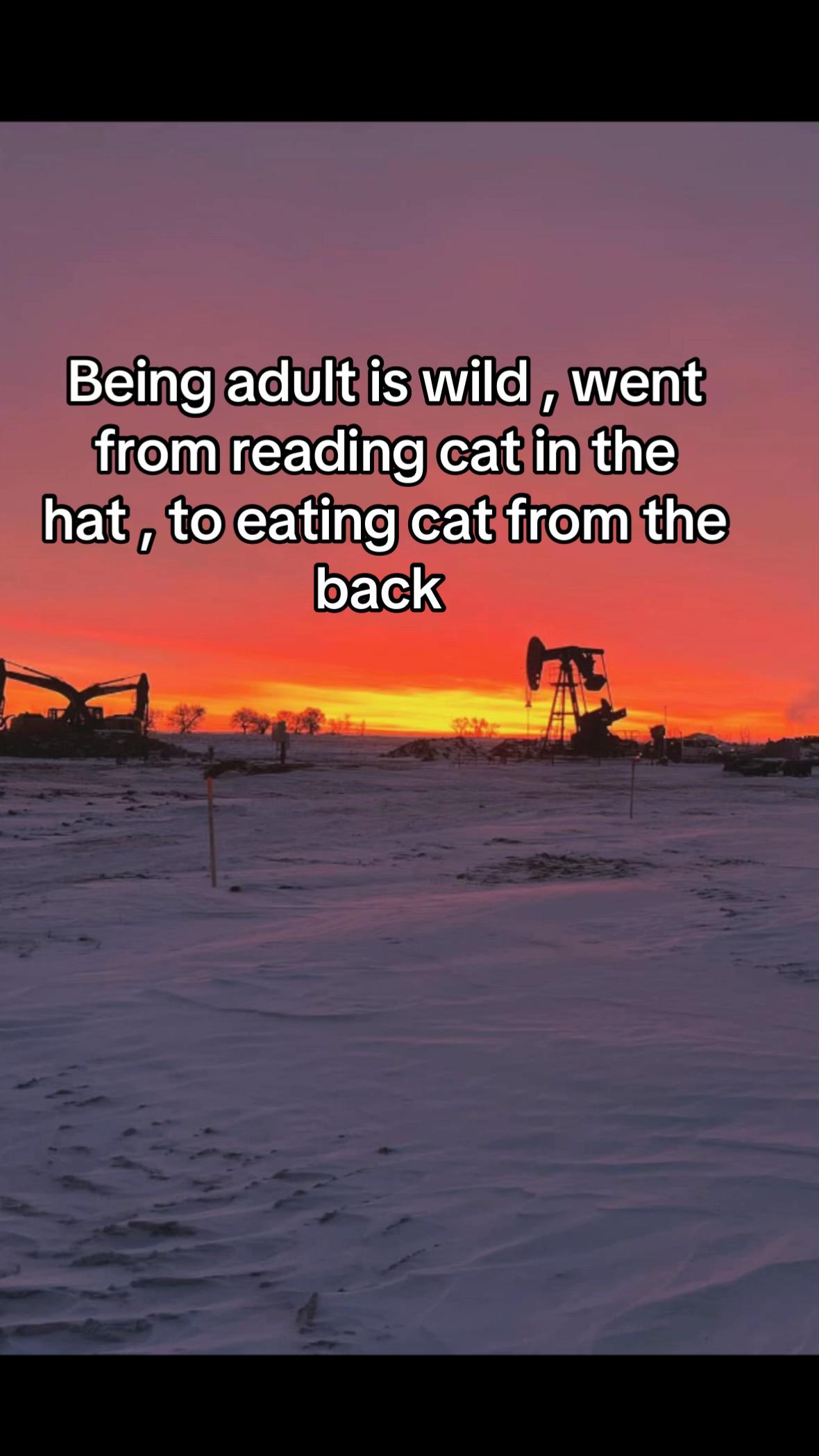 @🇨🇦Alberta -oilfield 🇨🇦