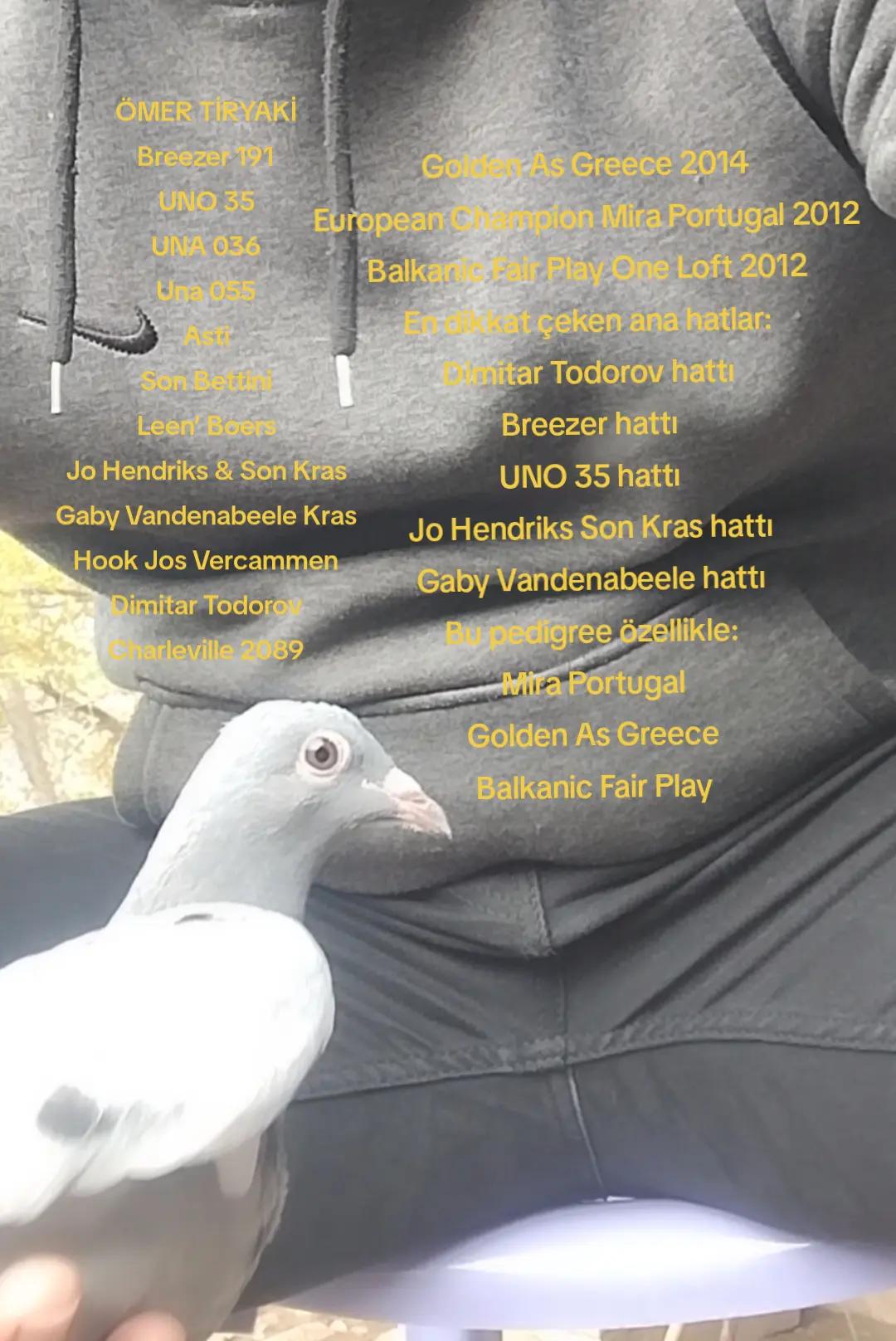 @YARIŞ POSTASI