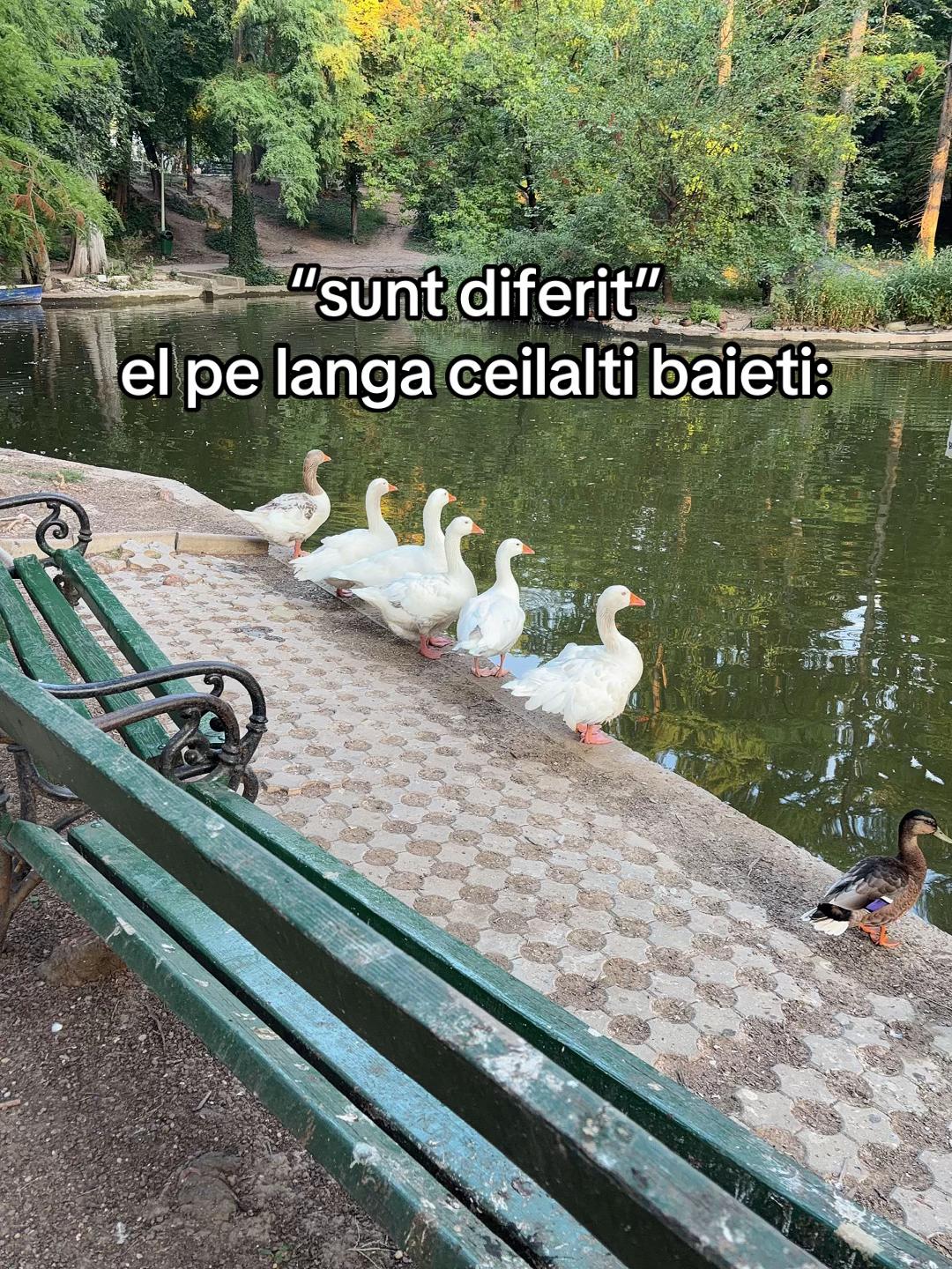 @DARIA