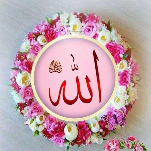 @♥️♥️🌺🌺🌺Holly Quran 🌺🌺♥️♥️