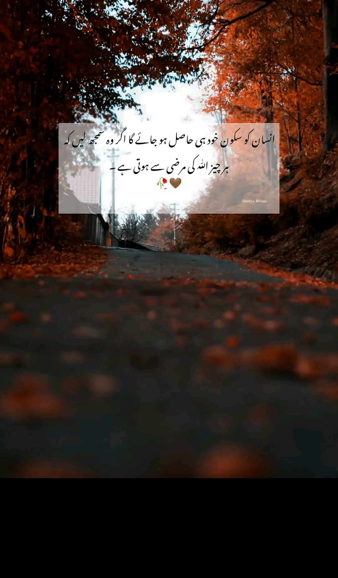 @👑Waqas Biland 👑