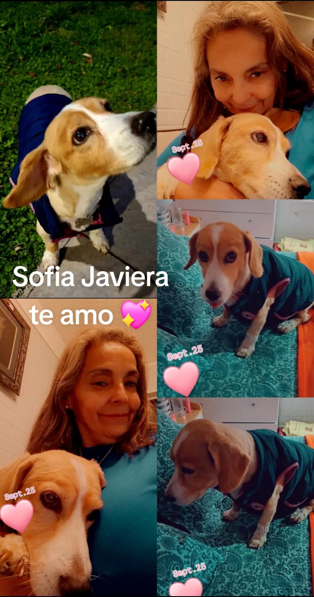 @Guapita Te Sigue   💖💫🍀🍀🍀