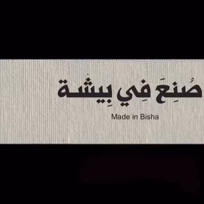 @مجمع لامير الطبي بيشة